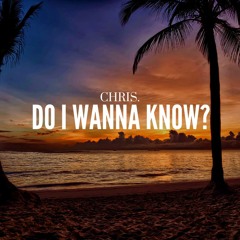 Do I Wanna Know?