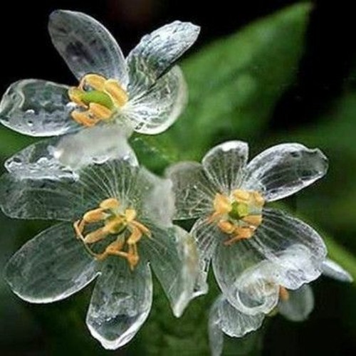 [낭독/KOR] 산하엽_적당한 사람이 필요했다