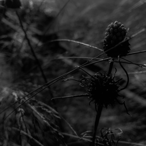 Ghost Towns (NEW ALBUM now available on Bandcamp)
