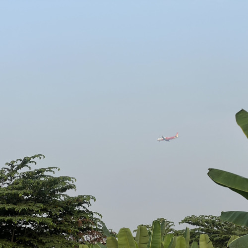 CỦA LỄ THẮM TÌNH QUÊ HƯƠNG