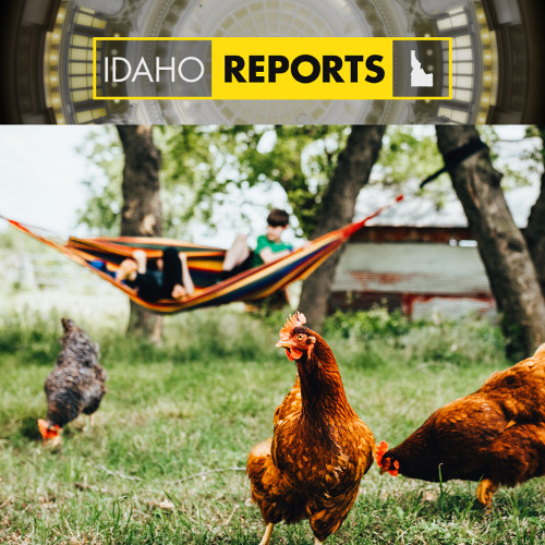 artworks-aVELZsVgqmbqKffx-VZVomg-t500x500 image