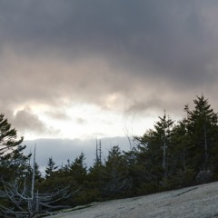 every.thing.at.once*