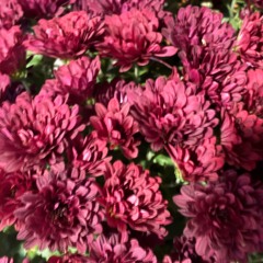 не бойся.mp3