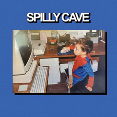 Spilly Cave - minutia