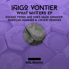 Inigo Vontier - La Cosa (Eskimo Twins Remix)