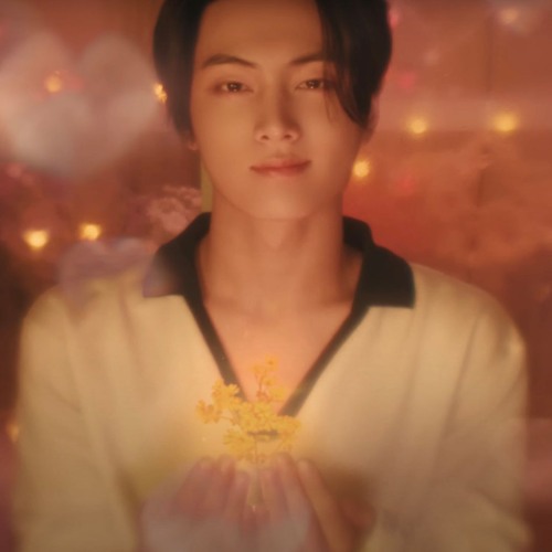 ENHYPEN x Megan Thee Stallion - Girls In The XO Hood (Ben Kang Mashup)