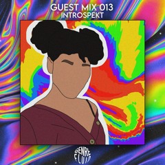 Guest Mix 013 - Introspekt