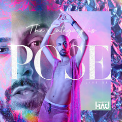 The Category is Pose  - Live Set