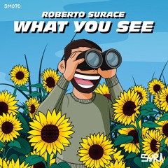 SM070 - Roberto Surace - What You See - SURA Music