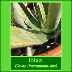 Eleven (Instrumental Mix)