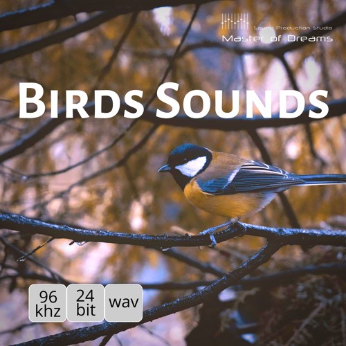 Master Of Dreams - Birds Sounds DEMO