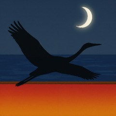 Wingspan