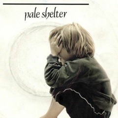 Demo 2023 Cover Pale Shelter ( 1983 Tears For Fears) Collab Bruno Phil's & J - Luc's