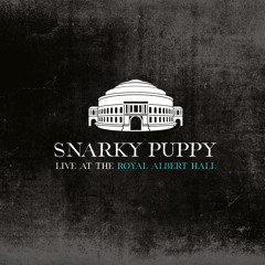 Best of - Snarky Puppy