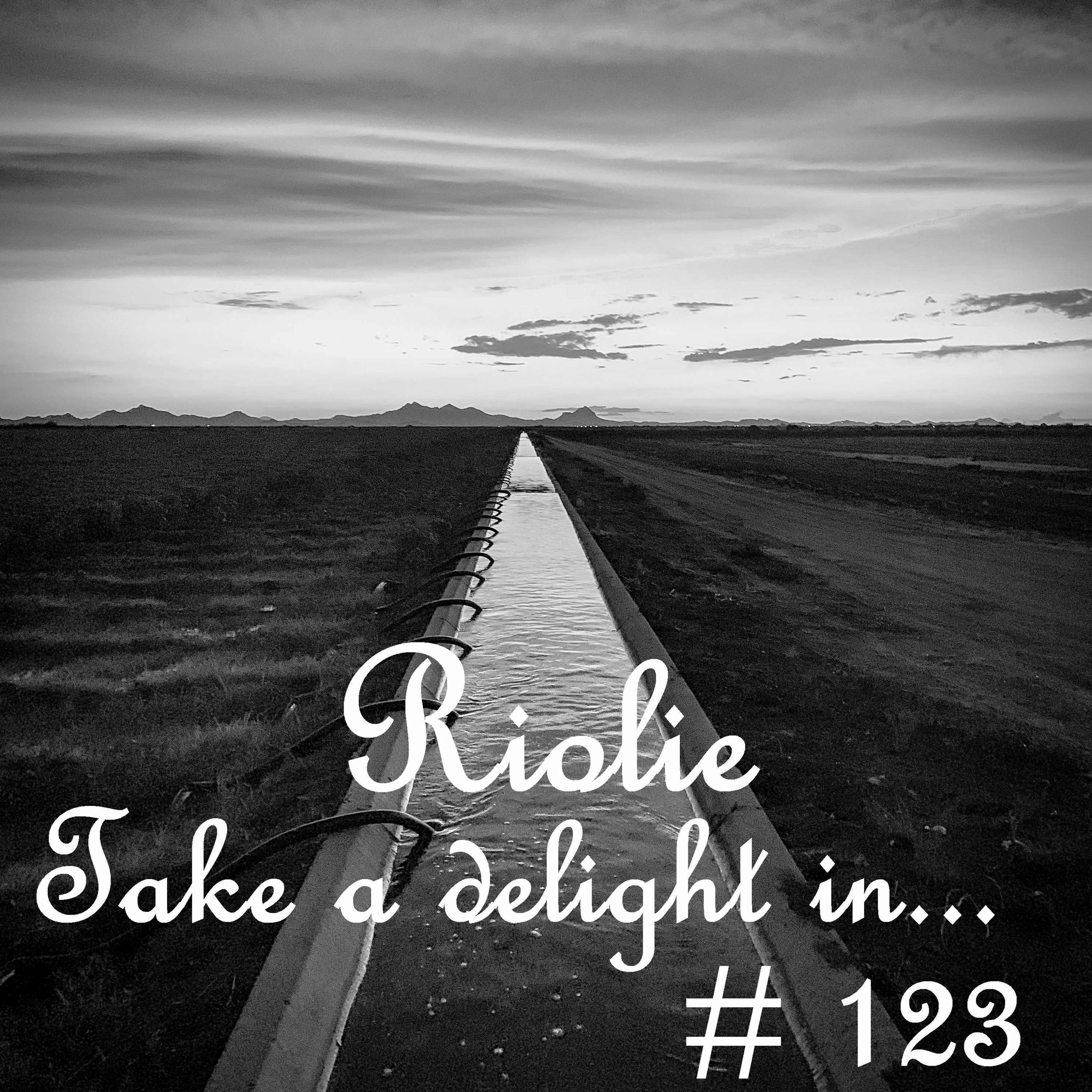 Take a delight in