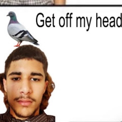 E bouta get the fakemink cut