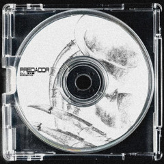 PREDADOR (DJ GAB, DIGXO)