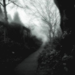 Dove - Doll ver | Antihoney | Violin part looped & slowed