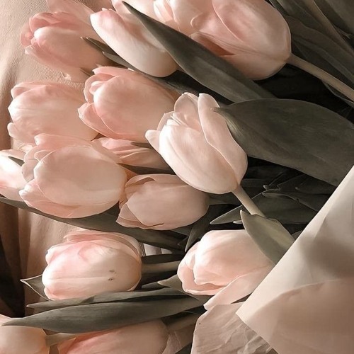 Yoursღ