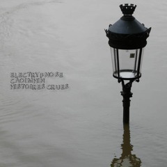 Op.784 - Electrypnose And Caoimhin - Histoires Crues