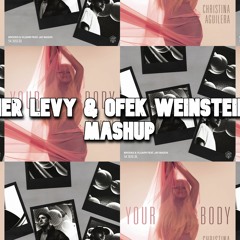 Your Body X Sober - Christina Aguilera & Brooks, Vluarr (Ner Levy & Ofek Weinstein Mashup)