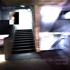 Echo Of My Own Shadow [I]: loop state