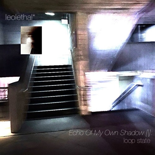 Echo Of My Own Shadow [I]: loop state