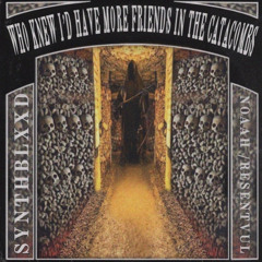 Who Knew I'd Have More Friends In The Catacombs(feat. noaah, SynthBlxxd)