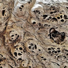 Sifting Through The Ashes - 16 - 10 - 2017