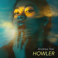 Andrew Stal @ Howler, Melbourne Australia