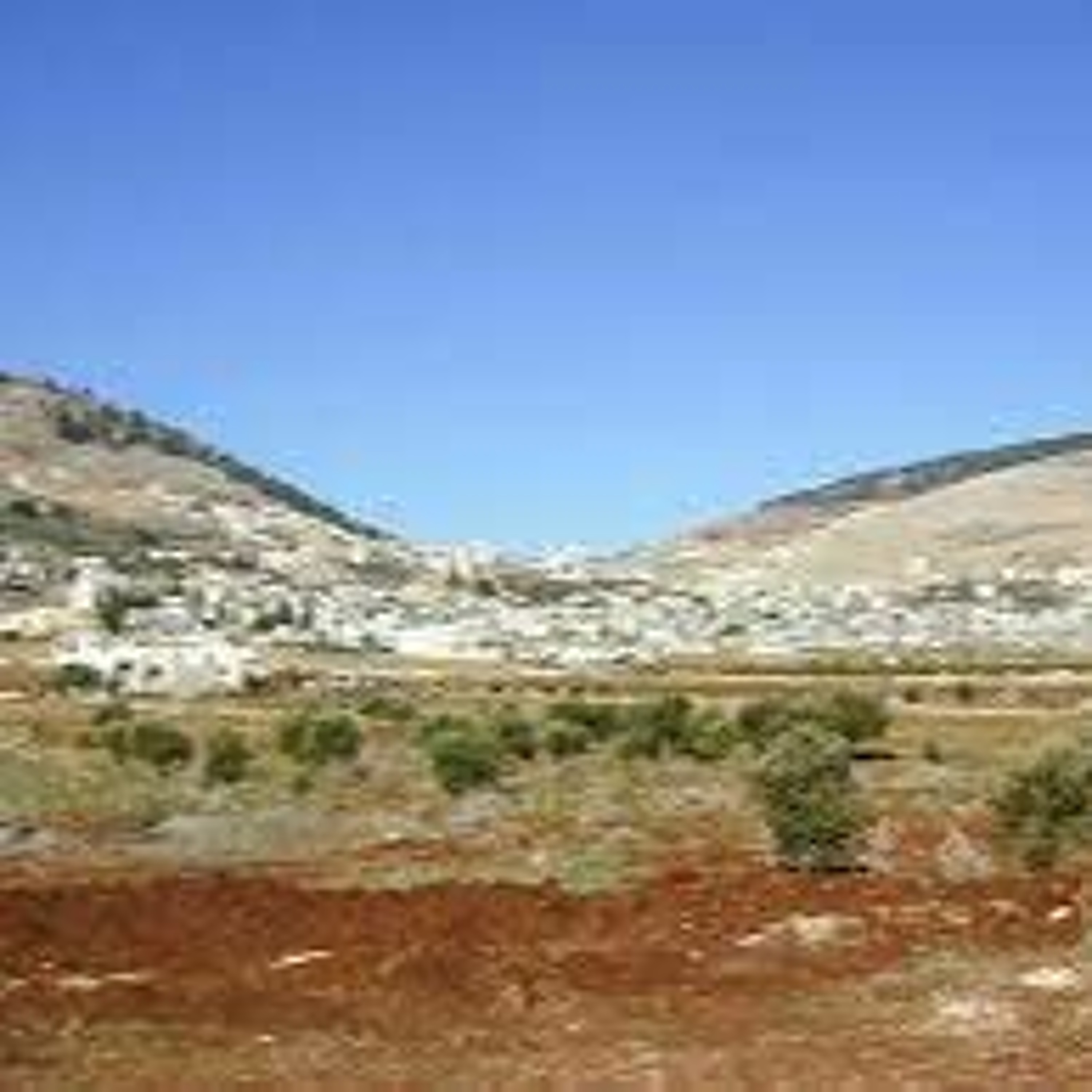 The Neshamah Project