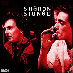 SHARON STONED - Never Dare To Ask (feat. Dirk von Lowtzow & Hans Platzgumer) Semi-German Version