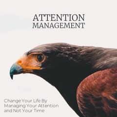 Attention Management Self Help PLR Audio Preview