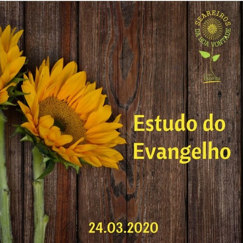 Estudo do Evangelho - 24/03/2020