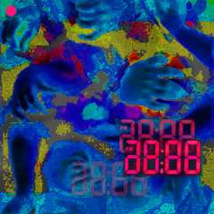 Chill jungle 1
