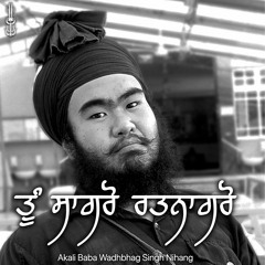 ਤੂੰ ਸਾਗਰੋ ਰਤਨਾਗਰੋ | Akali Baba Wadhbhag Singh Nihang | Leicester