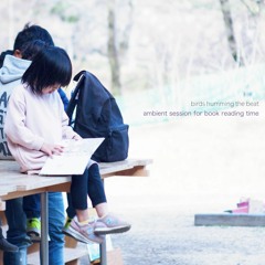 ambient session for book reading time