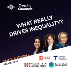 What really drives inequality?