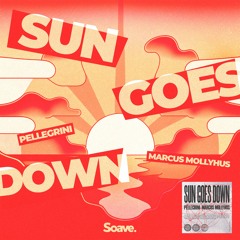 Pellegrini & Marcus Mollyhus - Sun Goes Down