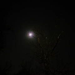 laid out right by the bayou, lake, river, bloody exhausted (12/5/2022).wav