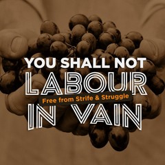 P.381 You Shall Not Labour In Vain — Free From Strife And Struggle