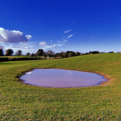 Be not bound to pleasure for the loss of pleasure is pain