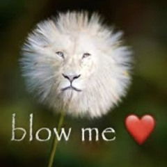 solsticio12  - (prod. djclaketa)