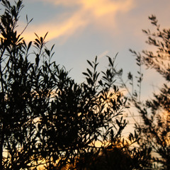 If I don’t send the letter