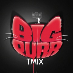 Big Purr (T Mix)