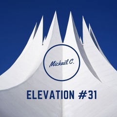 Mickaël C. ELEVATION #31