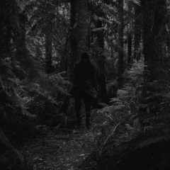 DISCOGRAPHY