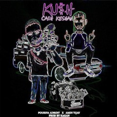 amin tijay & pouria adroiet-ku$h ka$h ke$han (slowed and reverb)