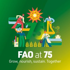 FAO podcast: FAO 75: ending hunger – still all to fight for
