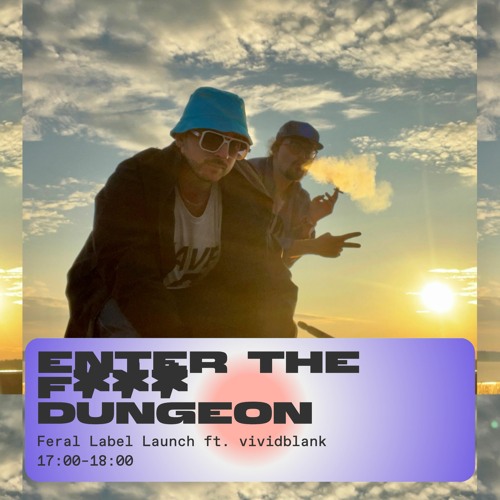 Stream Enter the F*** Dungeon - Feral Label Launch ft. vividblank 11/07/23  by IDA Radio | Listen online for free on SoundCloud